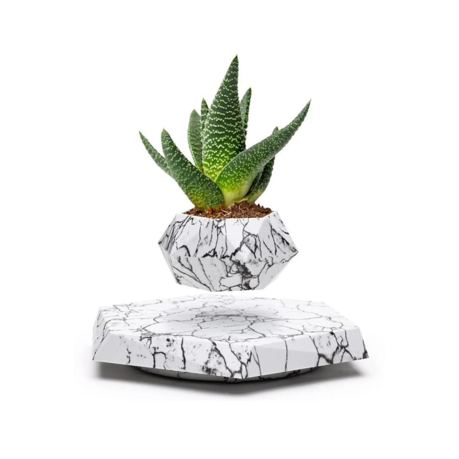 Levitating Plant Pot