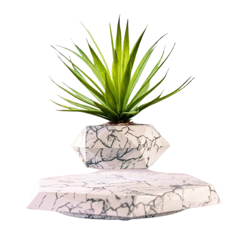 Magnetic Floating Planter – Modern Indoor Desk Plant Decor
