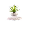 Levitating Plant Pot